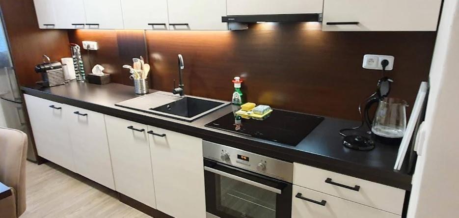 Academic Apartment Brno Extérieur photo